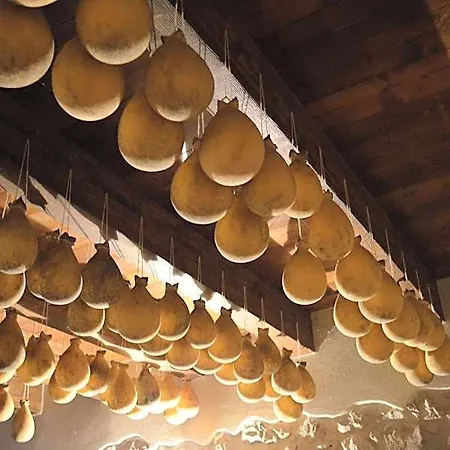 Szálloda Antica Dimora Del Gruccione, Diffuso